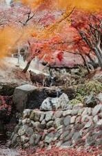 百家乐牌路-百家乐牌路，历史、文化与现代传承
